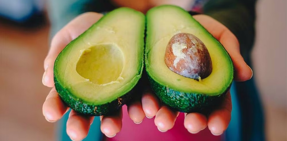 Aguacate abierto presentado como oferta ecuatoriana para compradores